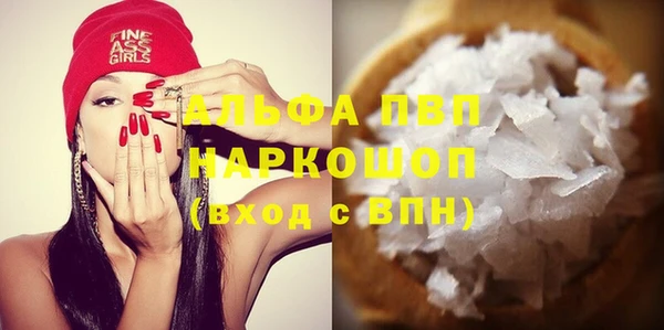 PSILOCYBIN Аркадак