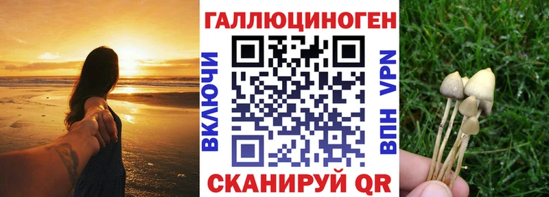 даркнет как зайти  цены наркотик  Асбест  Галлюциногенные грибы MAGIC MUSHROOMS 