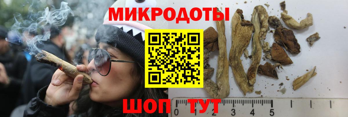 Псилоцибиновые грибы Cubensis Асбест