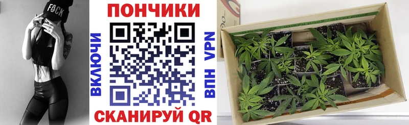 Каннабис ГИДРОПОН  где продают наркотики  Асбест 